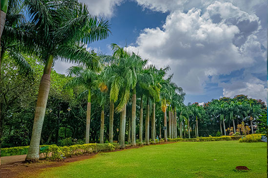 Nature Walks in Yelagiri